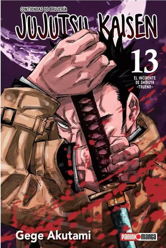 Jujutsu Kaisen 13