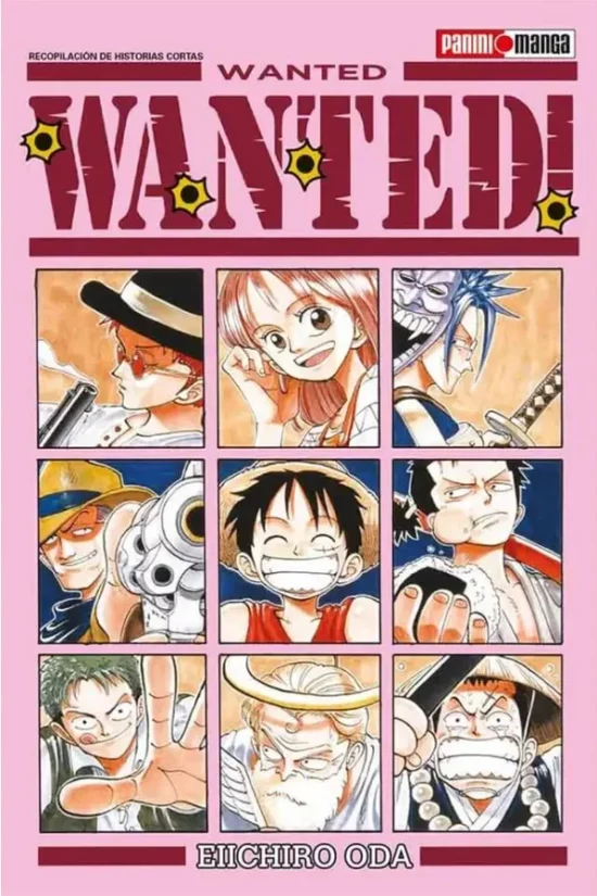 One Piece Wanted