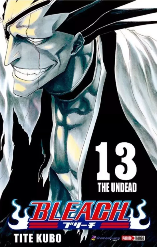 Bleach #13