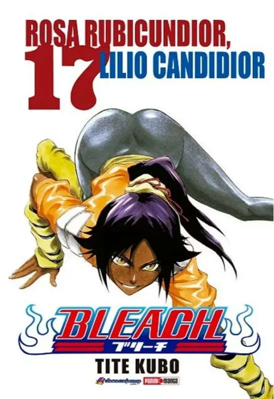 Bleach #17