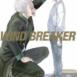 Wind Breaker #12