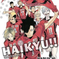 Haikyu!! (3 en 1) #12