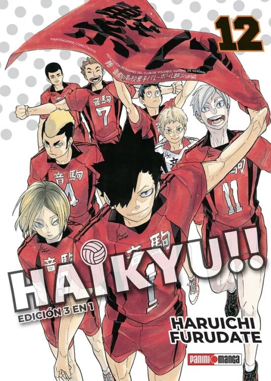 Haikyu!! (3 en 1) #12