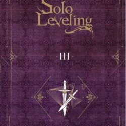 Solo Leveling novels #3