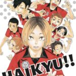 Haikyu!! (3 en 1) #2