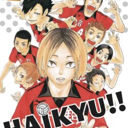Haikyu!! (3 en 1) #2