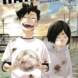 Haikyu!! (3 en 1) #13
