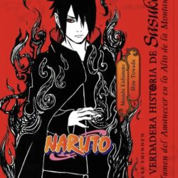 Naruto- La verdadera historia de Sasuke