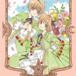 Sakura Card Captor - Deluxe Edition 9