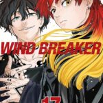 Wind Breaker #17