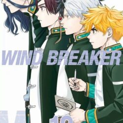 Wind Breaker #19
